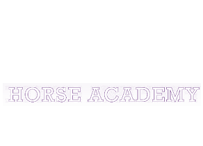 Mervi Pakola Horse Academy