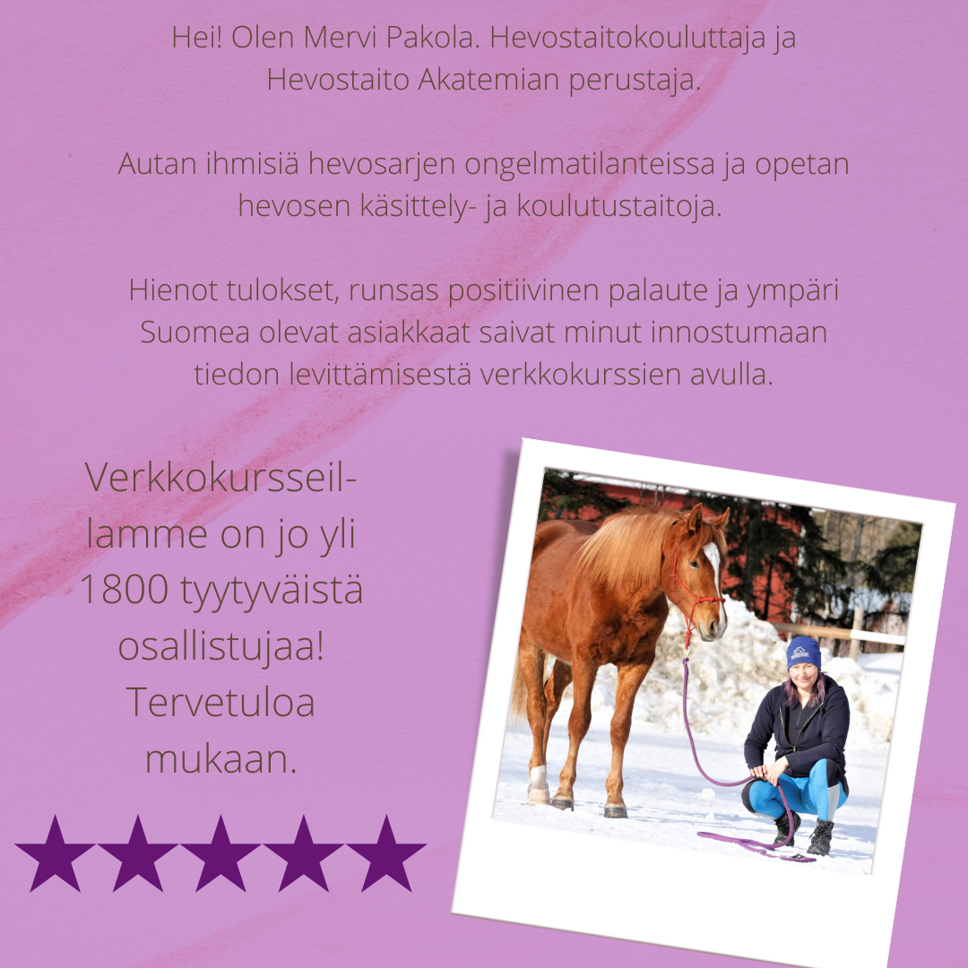 Oma esittely 2